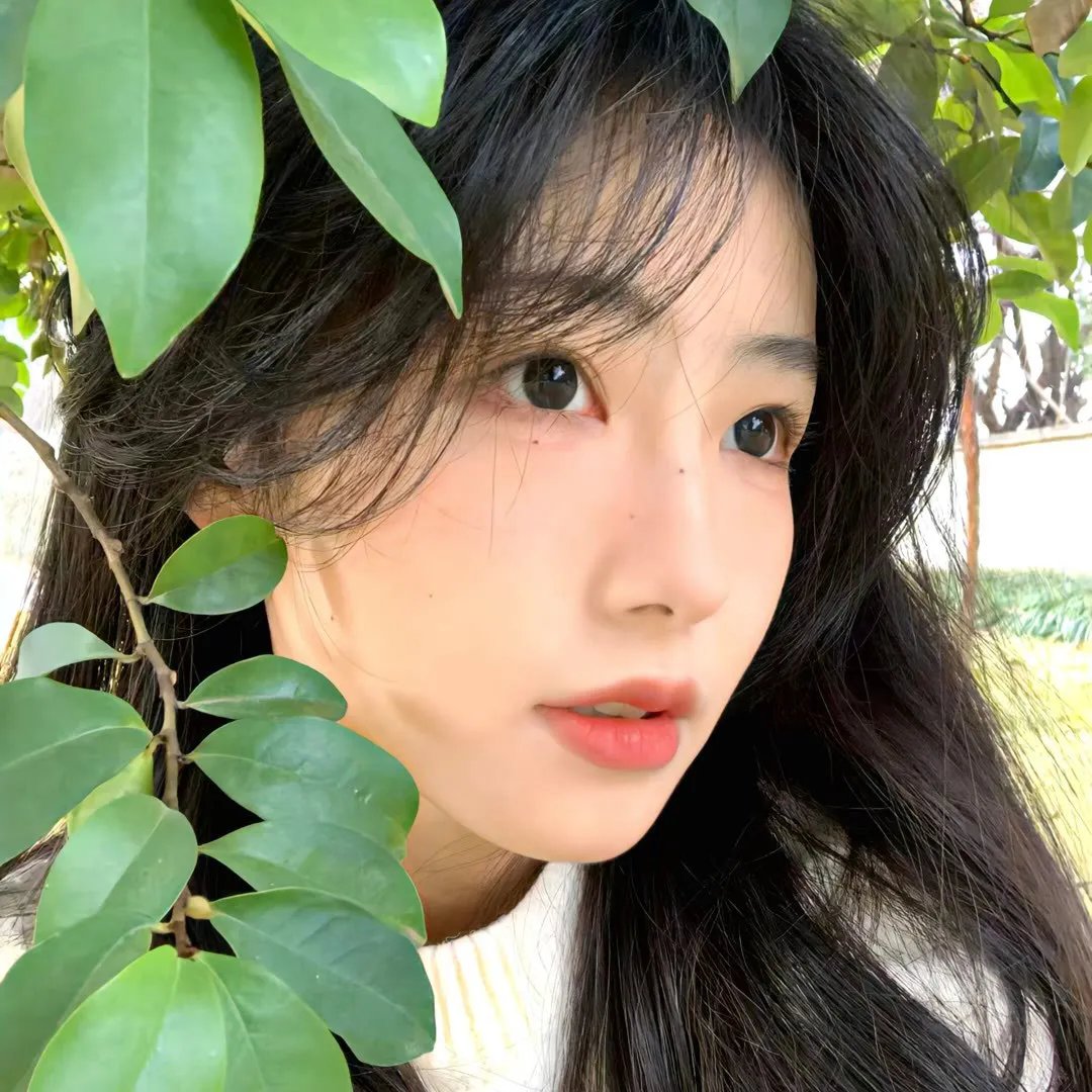 绿草如阴 海报
