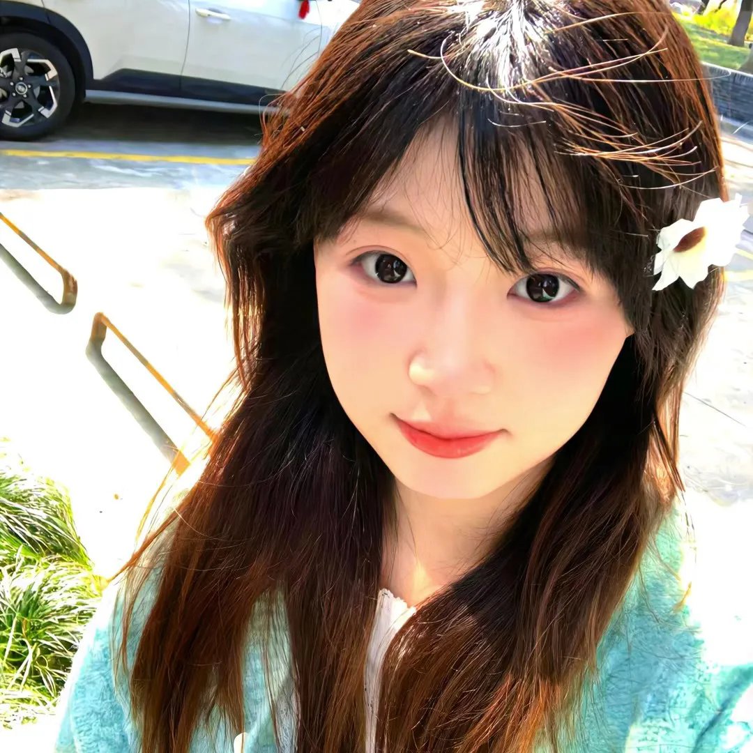 奔驰的大葱 海报